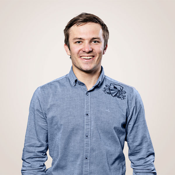 David , Vertrieb